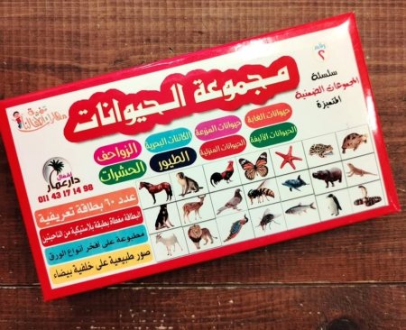 مجموعة الحيوانات - بطاقات تعليمية