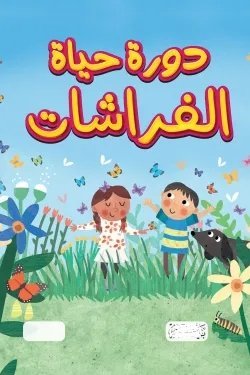 دورة حياة الفراشة