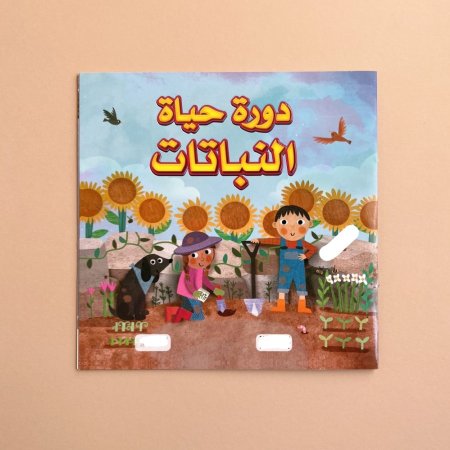 دورة حياة النباتات